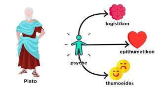 A Brief History of Psychology From Plato to Pavlov [upl. by Rayner]