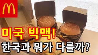 뉴욕 미국 빅맥 맛은 과연 다를까  미국 맥도날드 메인 메뉴 비교  맥도날드 [upl. by Anahcar611]