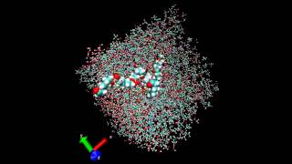 Molecular dynamics simulation of polycaprolactone in a mixture of water and acetone [upl. by Mou]