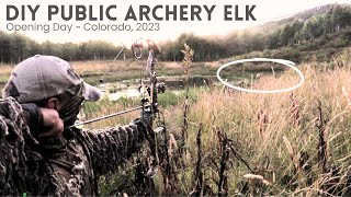 CO Archery Elk  Opening Day Success [upl. by Yenohtna]