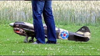 Curtiss P40 Warhawk Starenschreck Kirschsaison am Bodensee [upl. by Ettenan]