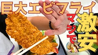 【レトログルメ111】岡山県でエビフライ食べるならココ週4日・1日2時間半のみ営業の激ウマ激安店を発見 [upl. by Airotal913]