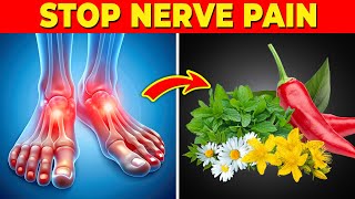 STOP Nerve Pain FAST with These Powerful Herbs Neuropathic Pain Relief [upl. by Lavinia]