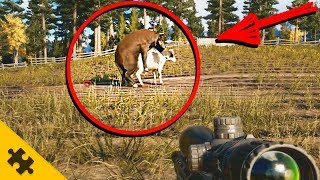 Far Cry 5  СЕКРЕТ БЫЧЬИХ ПОЛОВЫХ ОРГАНОВ и ФЕРМЫ ДЕЙВЕНПОРТА [upl. by Glenn]