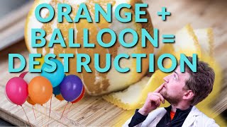 How does an orange peel pop a ballon Limonene Vs Rubber [upl. by Ahsyekal693]