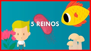 LOS 5 REINOS y sus CARACTERISTICAS  Explicacion FACÍL y RÁPIDA [upl. by Elok800]