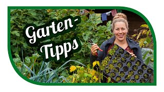 Aussaat amp Gartentipps im Oktober 🍁 Jetzt Knoblauch anbauen 🍂 [upl. by Tillinger]