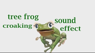 The Animal Sounds Tree Frog Croaking  Sound Effect  Animation [upl. by Solrak]