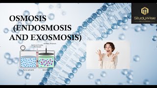 osmosis endosmosis exosmosis lecture3learn with funeasy to understandbiology plantphysiology [upl. by Corabel]