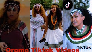 Sirba afaan oromoo haaraa 2023 Oromo music  Oromotiktok [upl. by Laney]