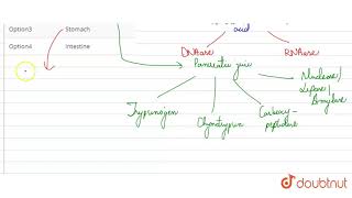 DNase and RNase enzymes produced by [upl. by Renferd]