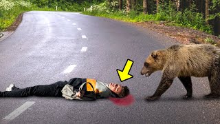 He Got Hurt And Couldnt Move When A Bear Heard Him Cry Something Unbelievable Happened [upl. by Asiulairam815]