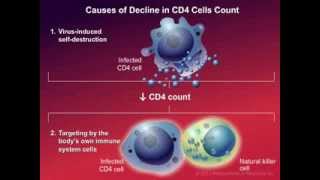 How HIV Causes Disease [upl. by Laverna]