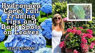 Hydrangea Care Fall Pruning Tips and Dark Spots on Leaves  Expert Advice by Kelly Lehman [upl. by Ubald438]