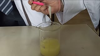 DNA Extraction From Banana [upl. by Negem]