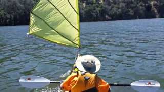 Kayak Sailing with Home made DIY Sail upwind capable  Del Valle [upl. by Kelsi974]