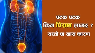 पटक–पटक किन पिसाब लाग्छ  यस्तो छ खास कारण  Frequent Urination Home Remedies  Nepali Health Tips [upl. by Silisav]