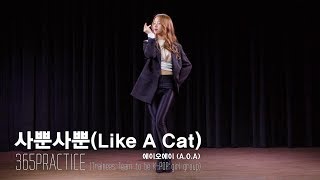 AOA에이오에이  사뿐사뿐Like a Cat 365 Practice [upl. by Takashi]