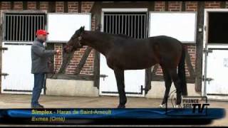 Haras de Saint Arnoult  Route des Etalons 2011 [upl. by Demeyer]