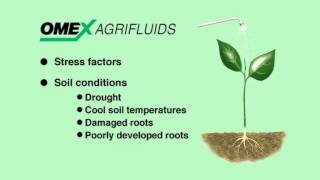 Why use Foliar Fertilizers [upl. by Edmon]