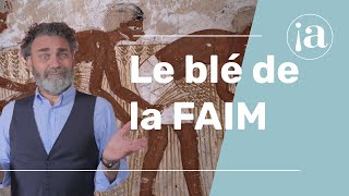 Ep 31 Le blé de la faim ou comment Joseph ruine et réduit en servage tout le peuple Égyptien [upl. by Alegnad259]