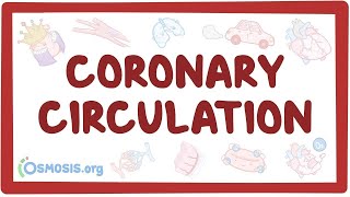 Coronary circulation  an Osmosis Preview [upl. by Daugherty]