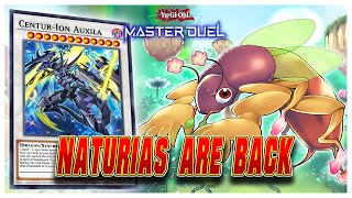 The Best New Way To Play Naturia  Naturia CenturIon Decklist  YuGiOh Master Duel [upl. by Annayk]