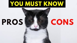 20 Surprising Pros and Cons of Tuxedo Cats [upl. by Evonne]