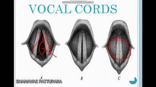 An Introduction to Phonetics Part II ORGANS OF SPEECH  Shanavas Pattupara [upl. by Anaig941]