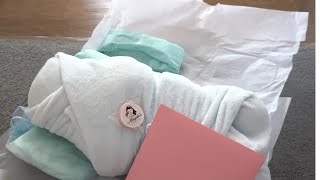 Aliyahs Playborn World Reborn Baby Box Opening [upl. by Flavius843]