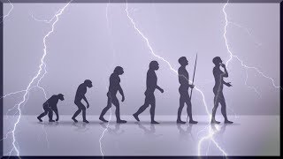 The Evolution Of Humans  Science Full Documentary [upl. by Brear224]