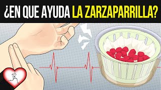 10 Increíbles Beneficios de la ZARZAPARRILLA que te harán querer TOMARLA de inmediato [upl. by Comethuauc621]