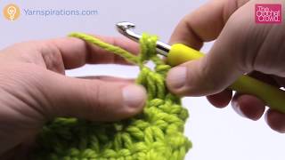 Crochet Star Cluster Stitch  BEGINNER  The Crochet Crowd [upl. by Ddart267]