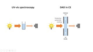 Capillary Electrophoresis Part 5 Detection methods in CE [upl. by Daphne777]