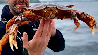 How to Catch Dungeness Crab in Alaska [upl. by Aikar]