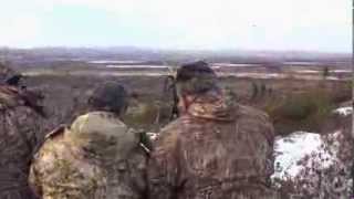 Late Season Moose Hunting at Red Indian Lake Outfitters  Woods N Water TV [upl. by Plank]