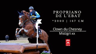 PROPRIANO DE LEBAT 2003 v Clown du Chesnay  Mistigri xx [upl. by Yremrej]