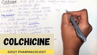 Colchicine  MechanismUsePharmacokineticAdverse effectContraindication in detailUrduHindi [upl. by Nunnery]