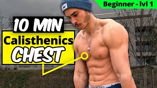 10 min Calisthenics CHEST WORKOUT total Beginner [upl. by Dawkins181]