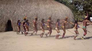 Povos indígenas do Xingu xingu indios indigenas culturaindigena [upl. by Zendah]