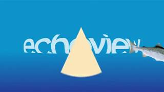 Who is Echoview Software [upl. by Bryon248]