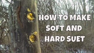 DIY Homemade Soft Suet and Hard Suet [upl. by Derman]