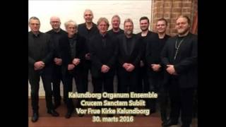 Kalundborg Organum Ensemble  Crucem Sanctam Subiit [upl. by Adekahs]