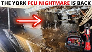 HVAC Service Call York FCU NIGHTMARE Is Back and Leaking Water Fan Coil Unit Water Leak FCU Leak [upl. by Eycats]