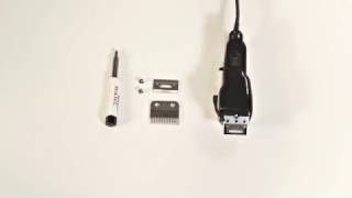 WAHL How To Replace a 2 Hole Clipper Blade [upl. by Wachtel851]