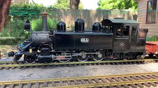 Gauge 1 Live Steam January 2019 [upl. by Senhauser11]