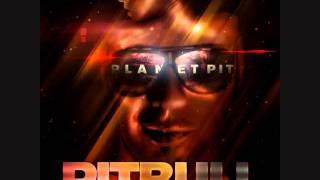 Pitbull  Something For The DJs [upl. by Airun360]