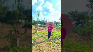 Lala barsha hele chata khole ape ape🥰💦🌧 shortvideo dance odiavirl [upl. by Handal]