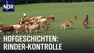 Hofgeschichten RinderKontrolle auf dem Sophienhof  Die Nordreportage  NDR Doku [upl. by Agemo]