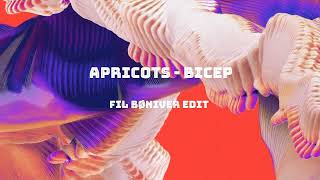 Apricots  Bicep FIL BØNIVER remix [upl. by Cheshire]